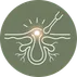Akne - CLEAR SKIN TREATMENT Icon